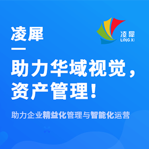 凌犀 - 助力華域視覺，資產(chǎn)管理！